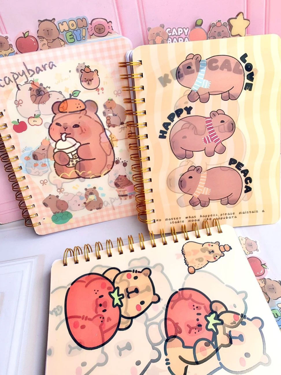 LIBRETA HOLOGRAFICA CAPYBARA