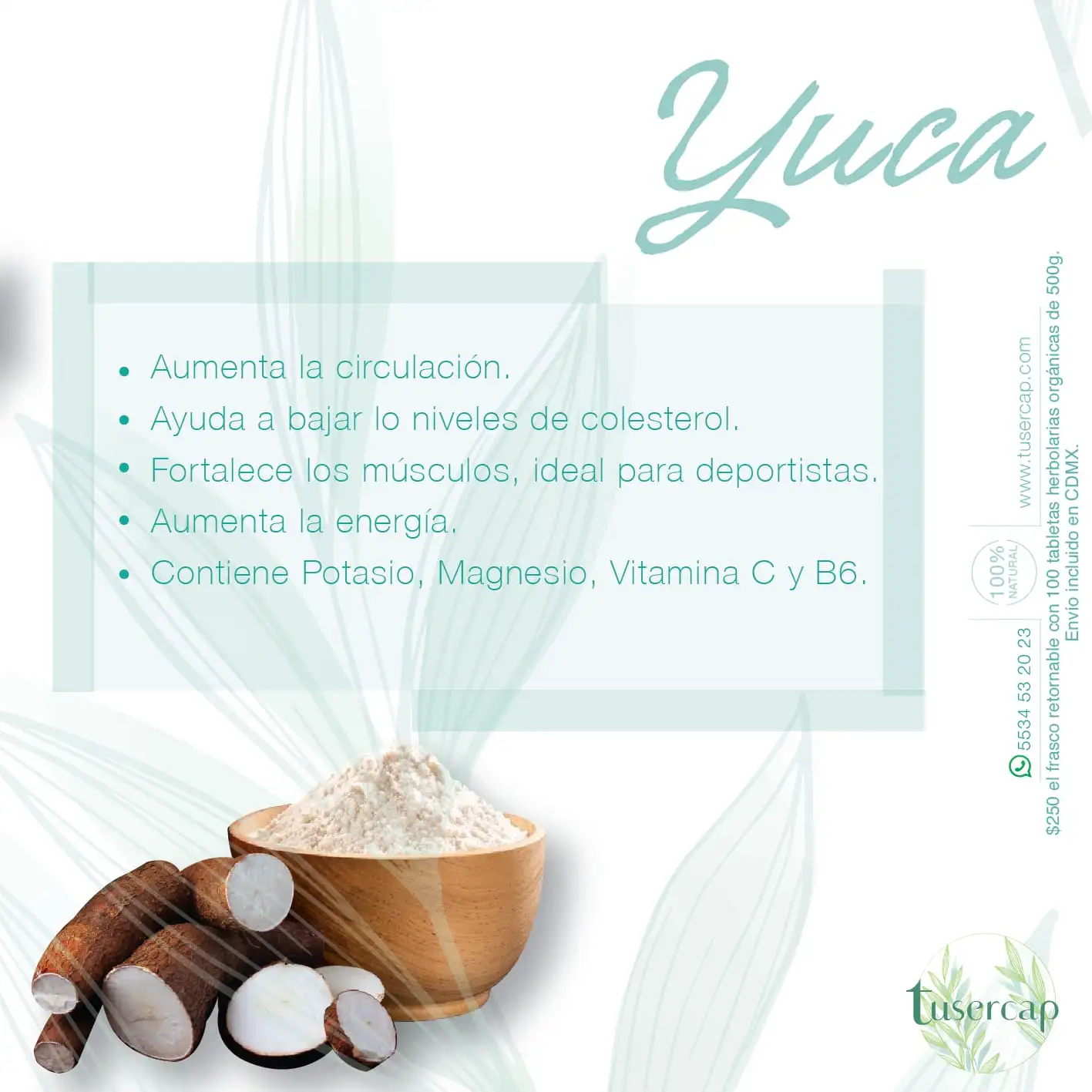 Yuca
