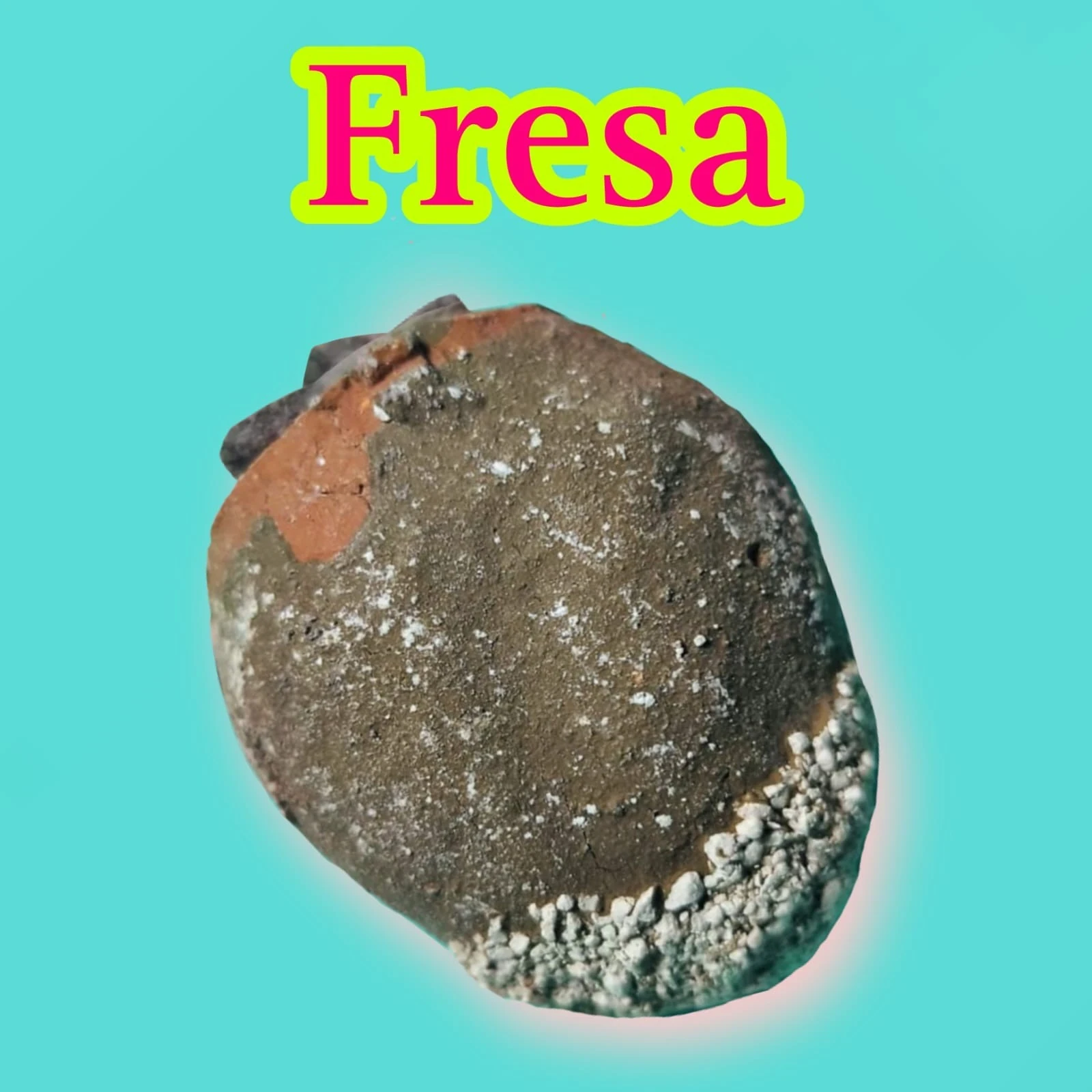 Fresa