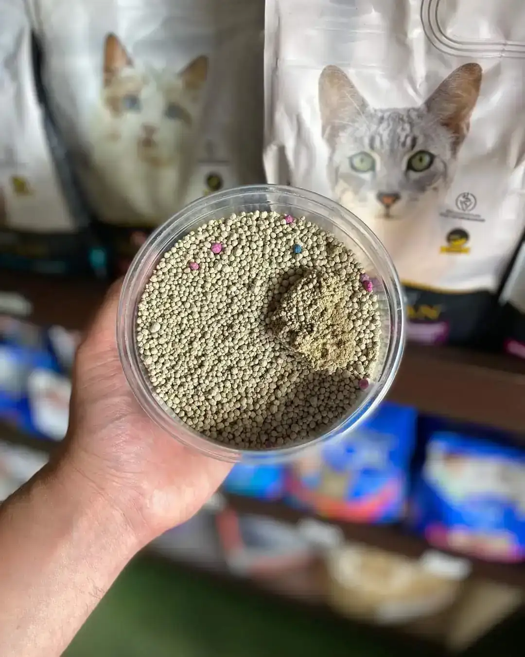 ARENAS AGLOMERANTES PARA GATOS