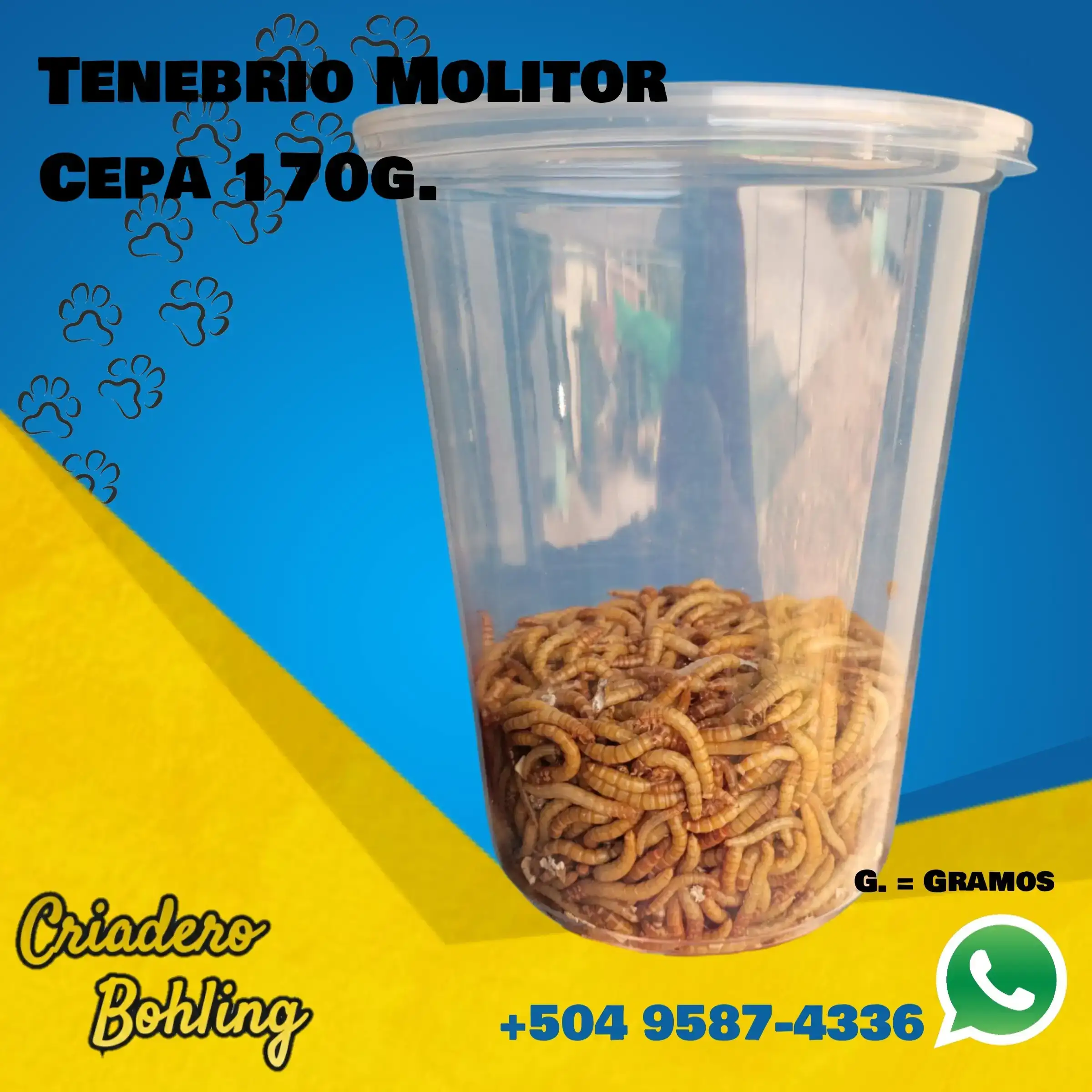 Cepa Tenebrios 170g.