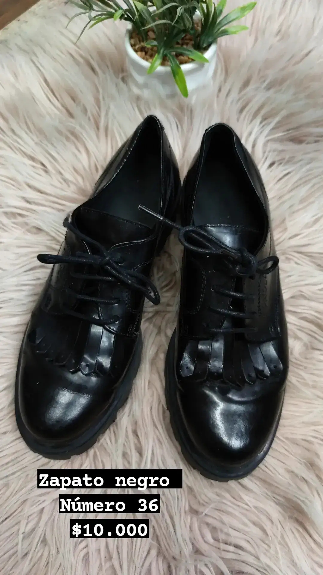 Zapato 36