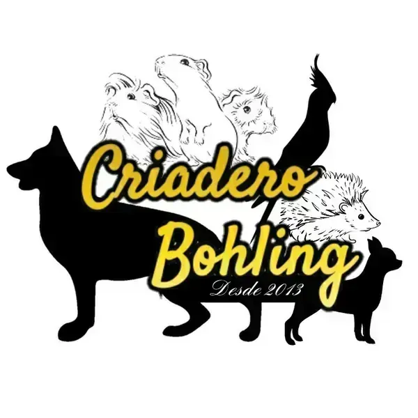 Criadero Bohling 