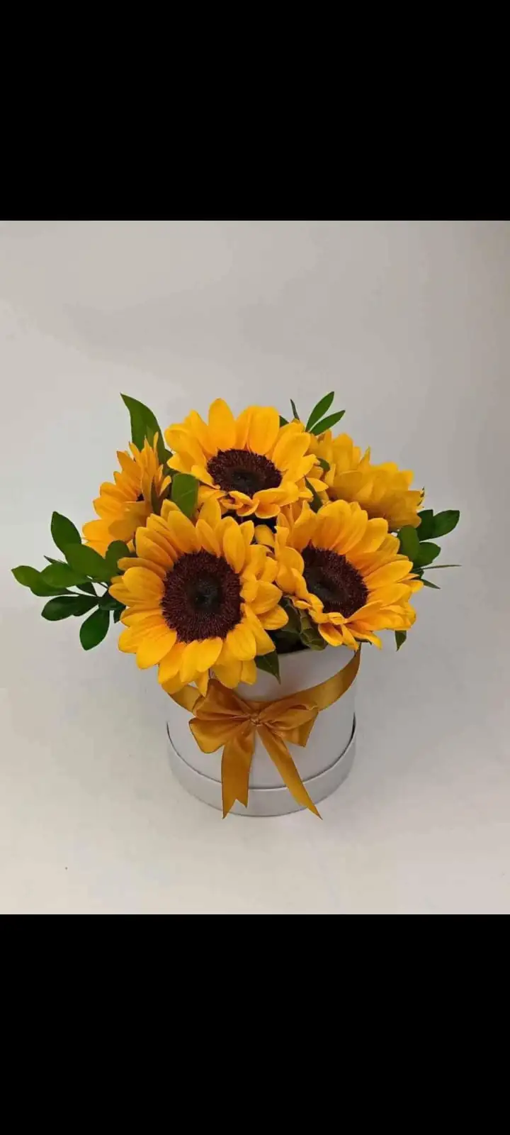 Box girasol 