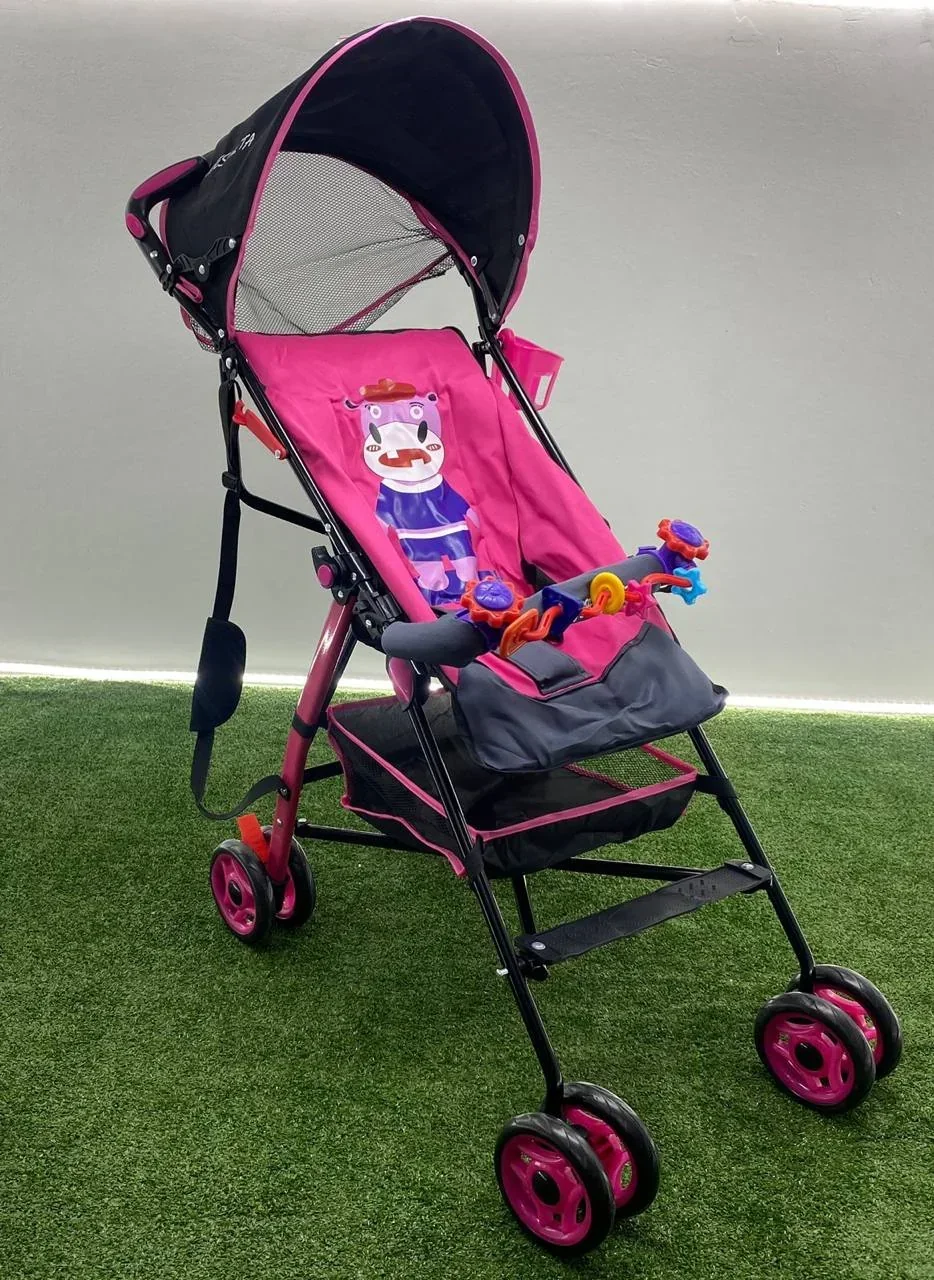 Coche Paseador Para Bebe Didáctico  6