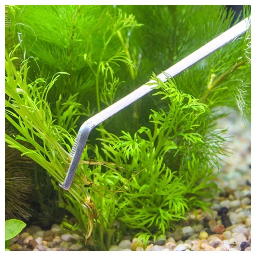 Juego de Herramienta Acuario Plantado PJ-300 4