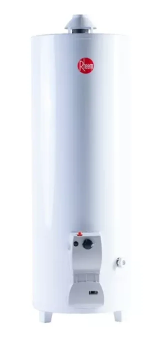 Termotanque multigas Rheem FUNCTIONAL TPG120GNRH blanco 120L