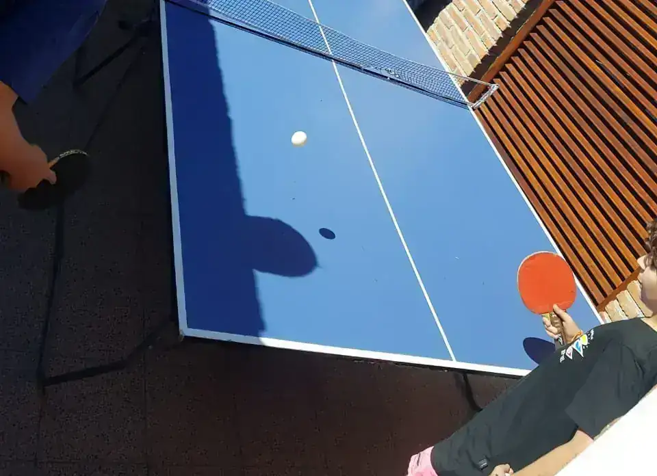 PING PONG PROFESIONAL 2