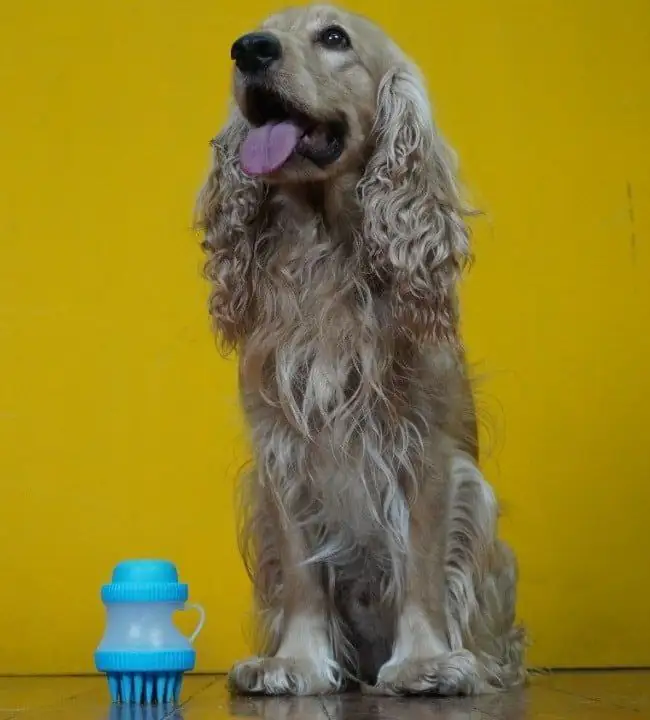 BATH BRUSH PARA PERROS 3