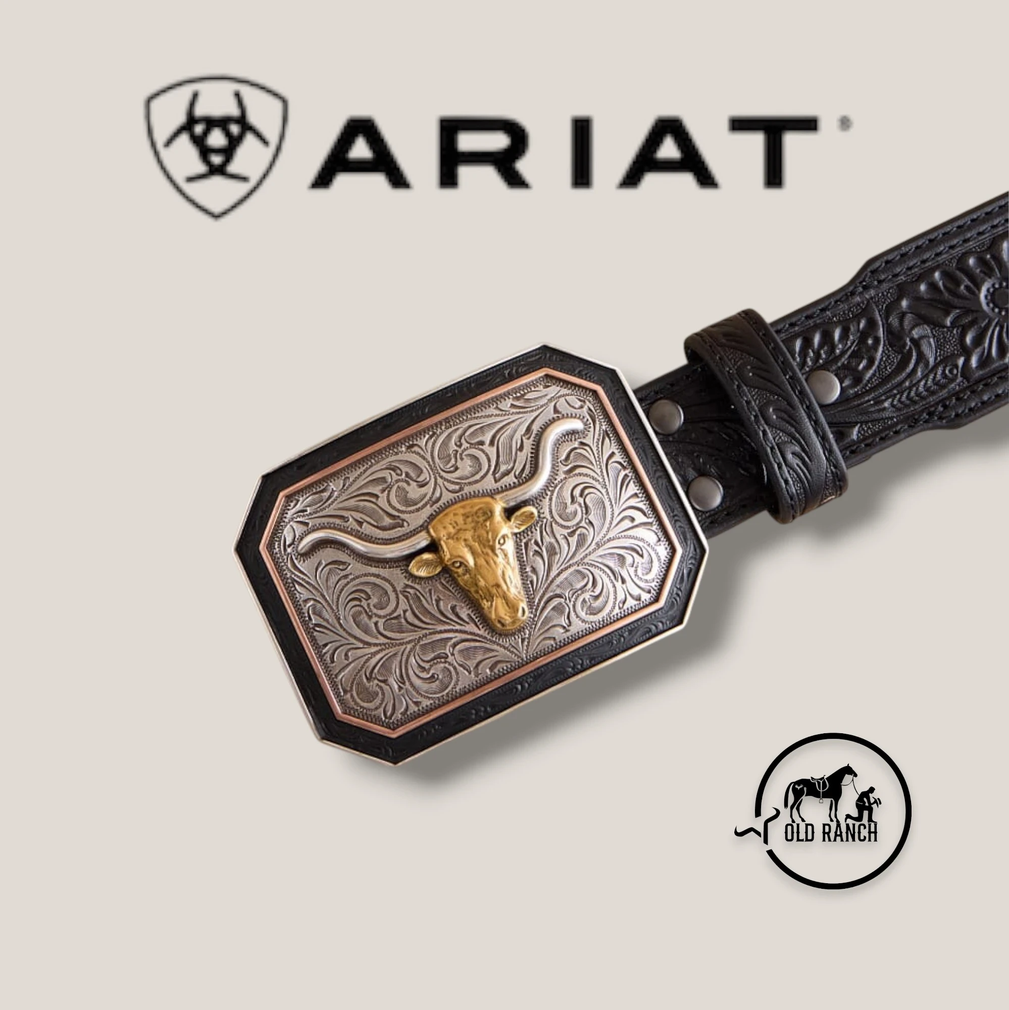 ARIAT 2