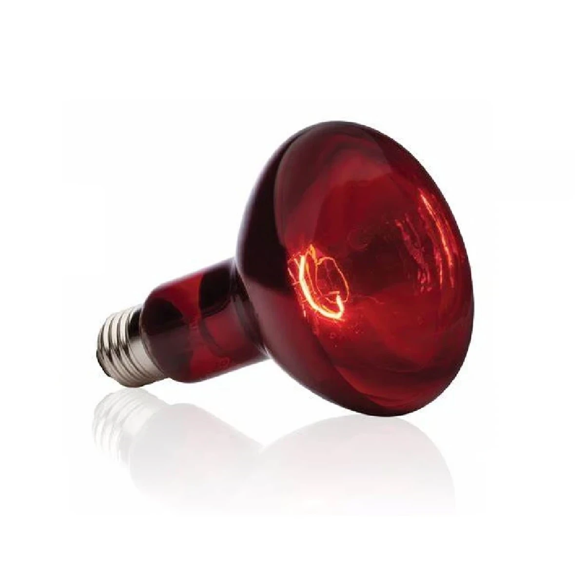 Foco de calor infrarrojo de 100 watts