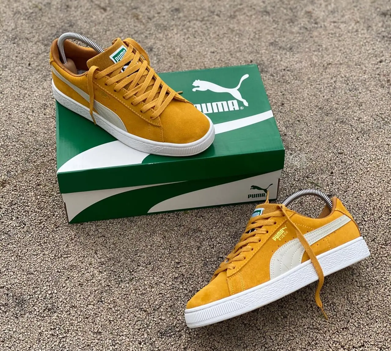 PUMA DAMA Y CABALLERO AAA 2