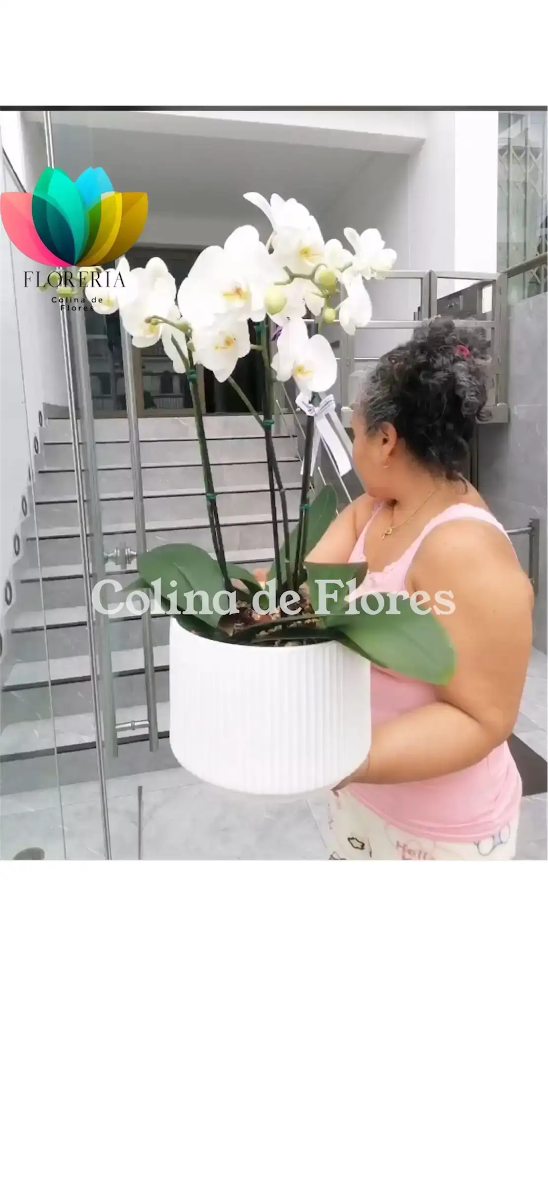 Orquídea blanca 