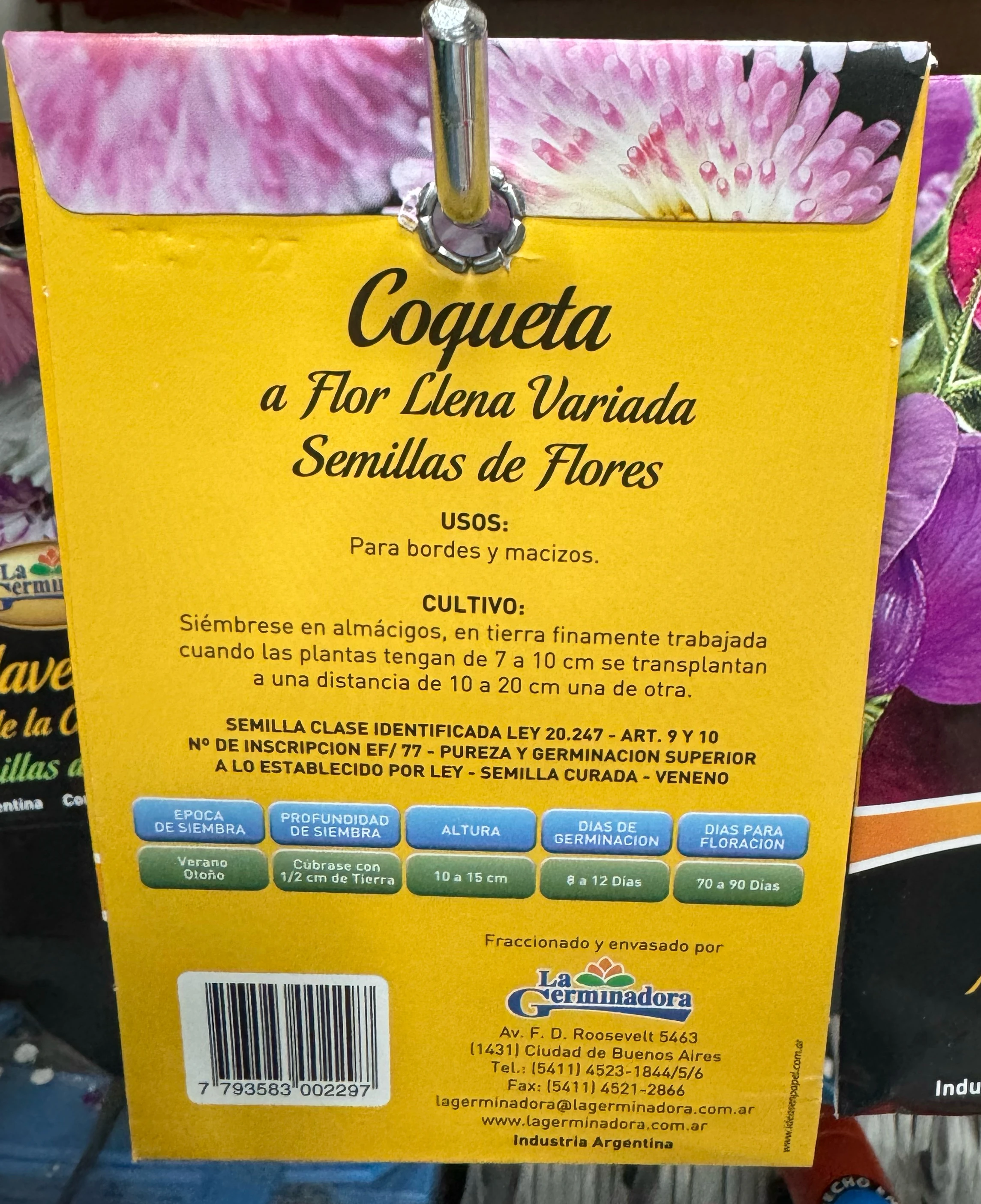 Coqueta semillas de flor  2