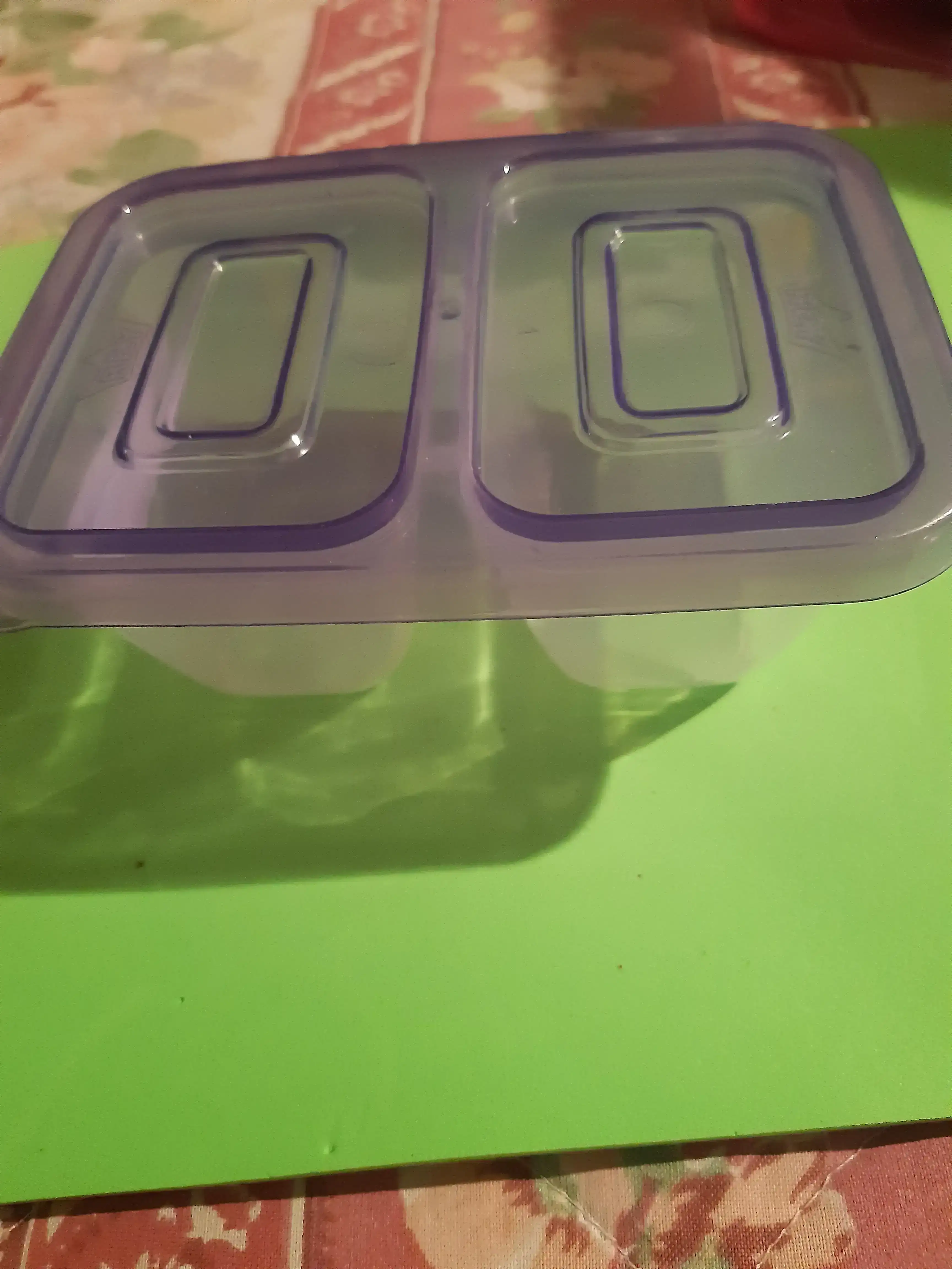 Repostero plastico dos divisiones 