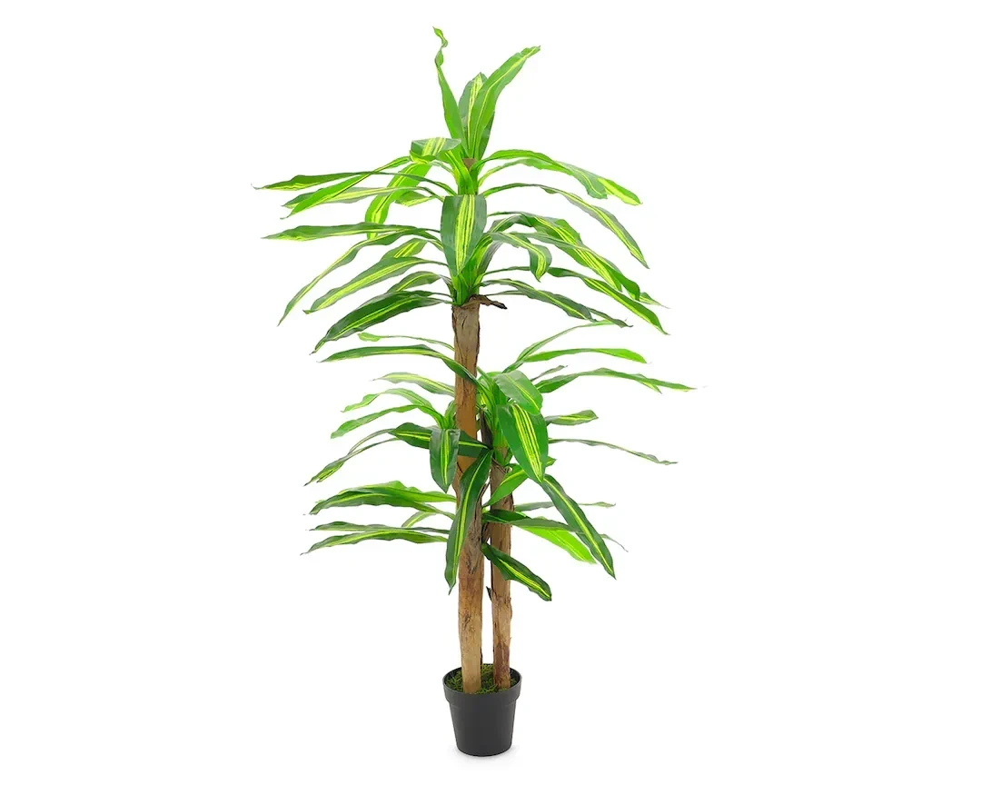 Planta Palo de Brasil 180cm Artificial vista natural 