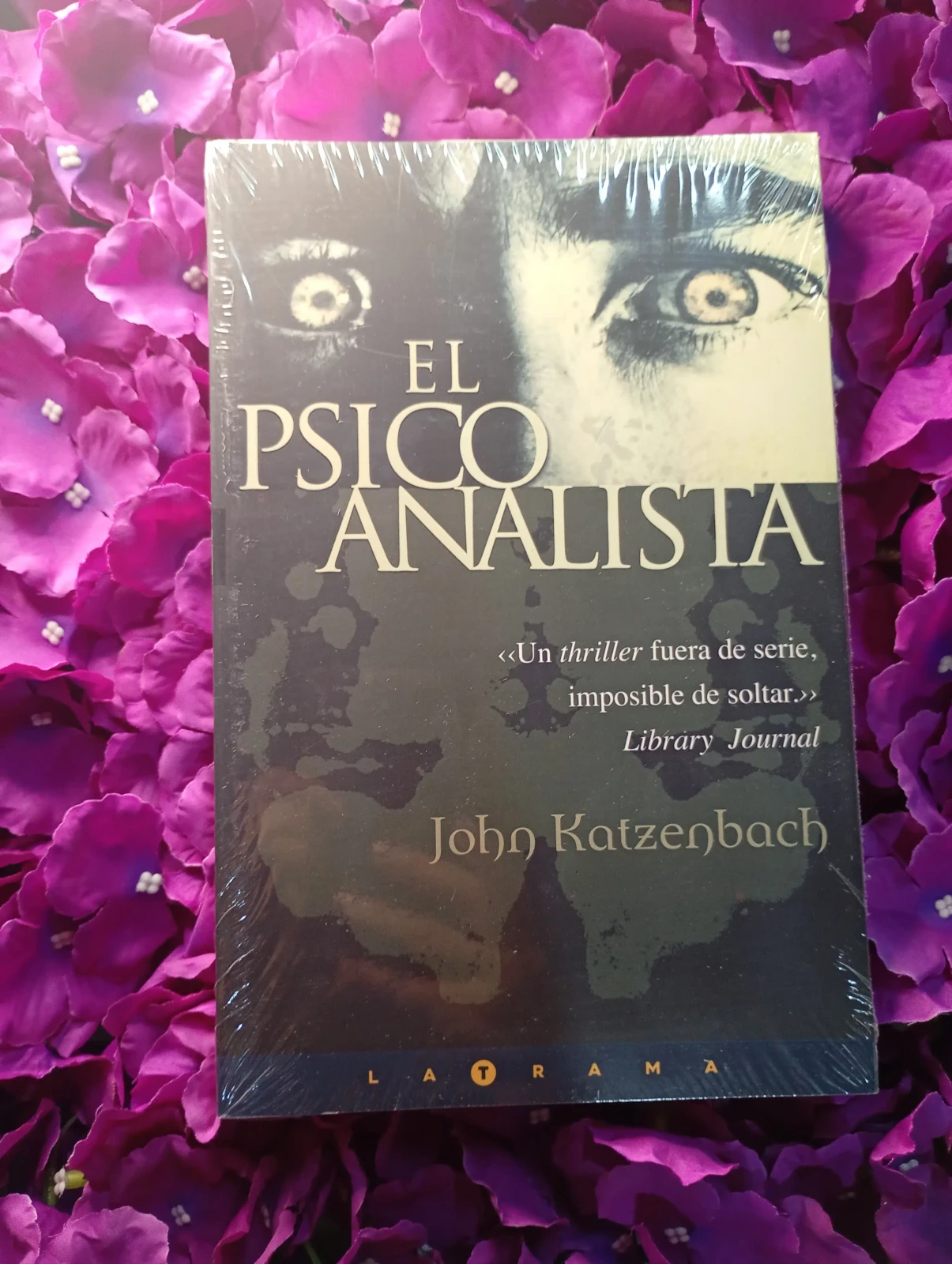 El psicoanálista