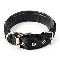 COLLAR REFORZADO ORTOPÉDICO PARA PERROS 