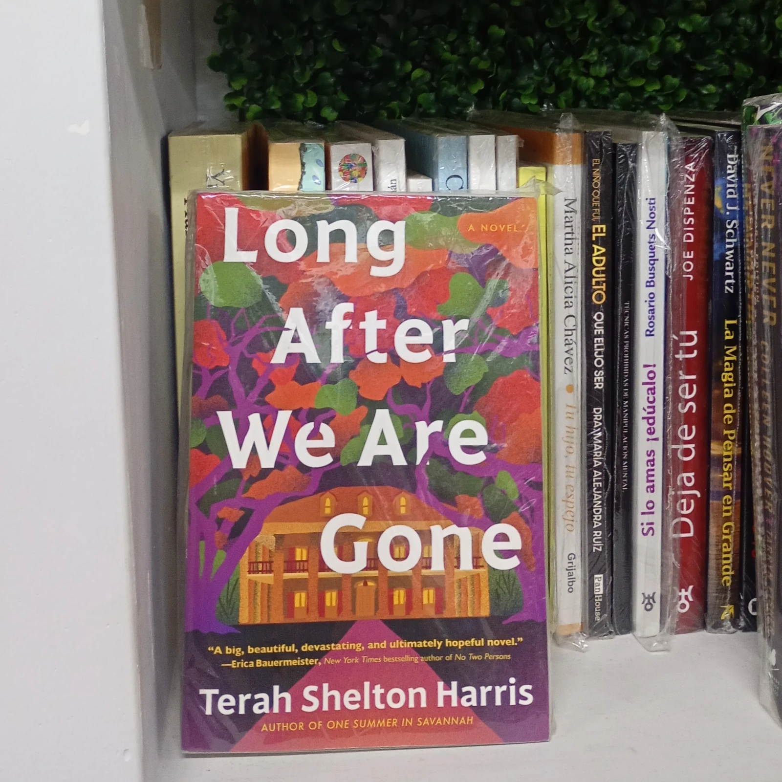 Long After We Are Gone — Terah Shelton Harris (Ingles)