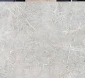 Nantes gris $10000 mt2
