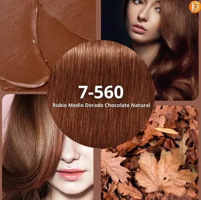 igora 7.560 rubio medio dorado chocolate natural.jfif
