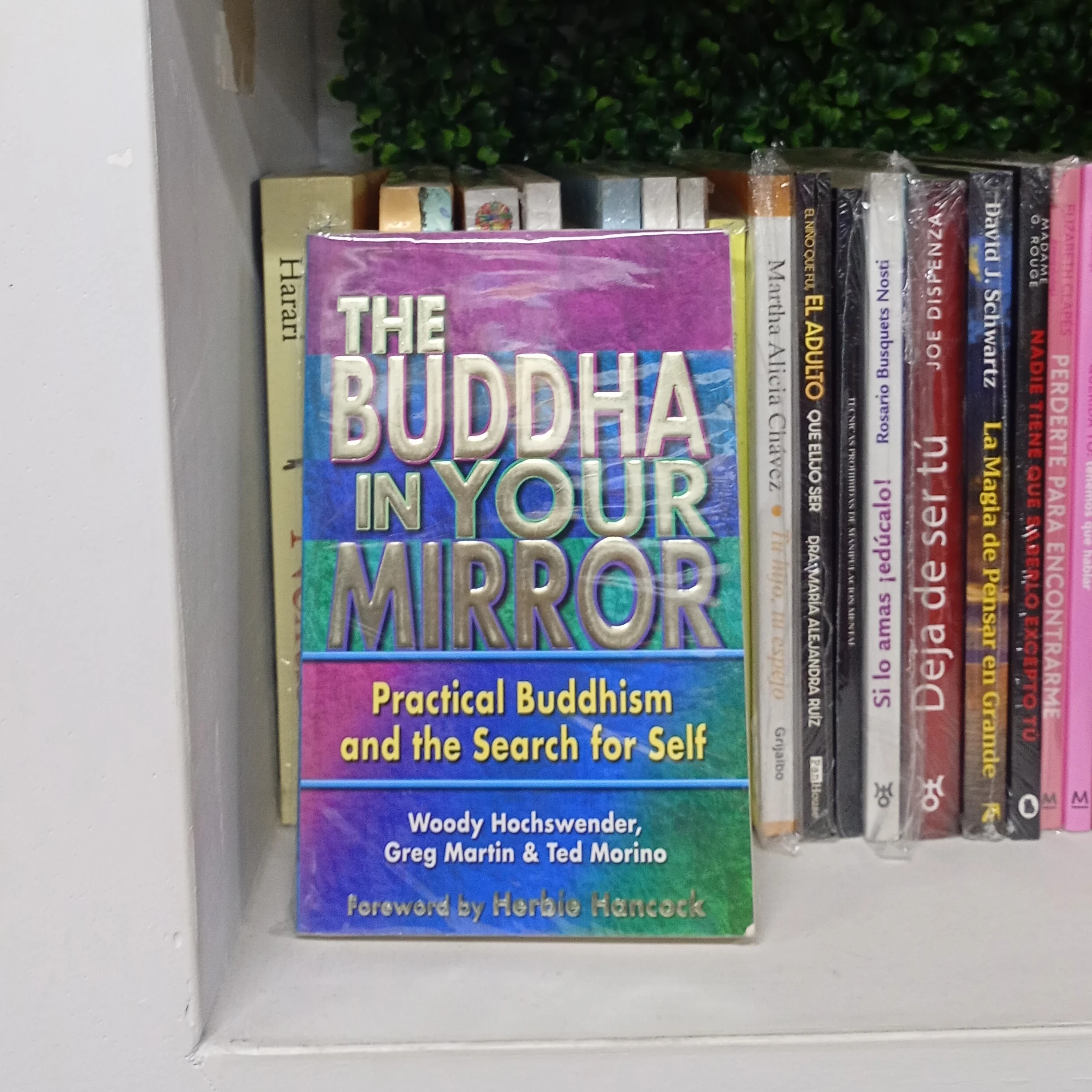 The Buddha in your mirror