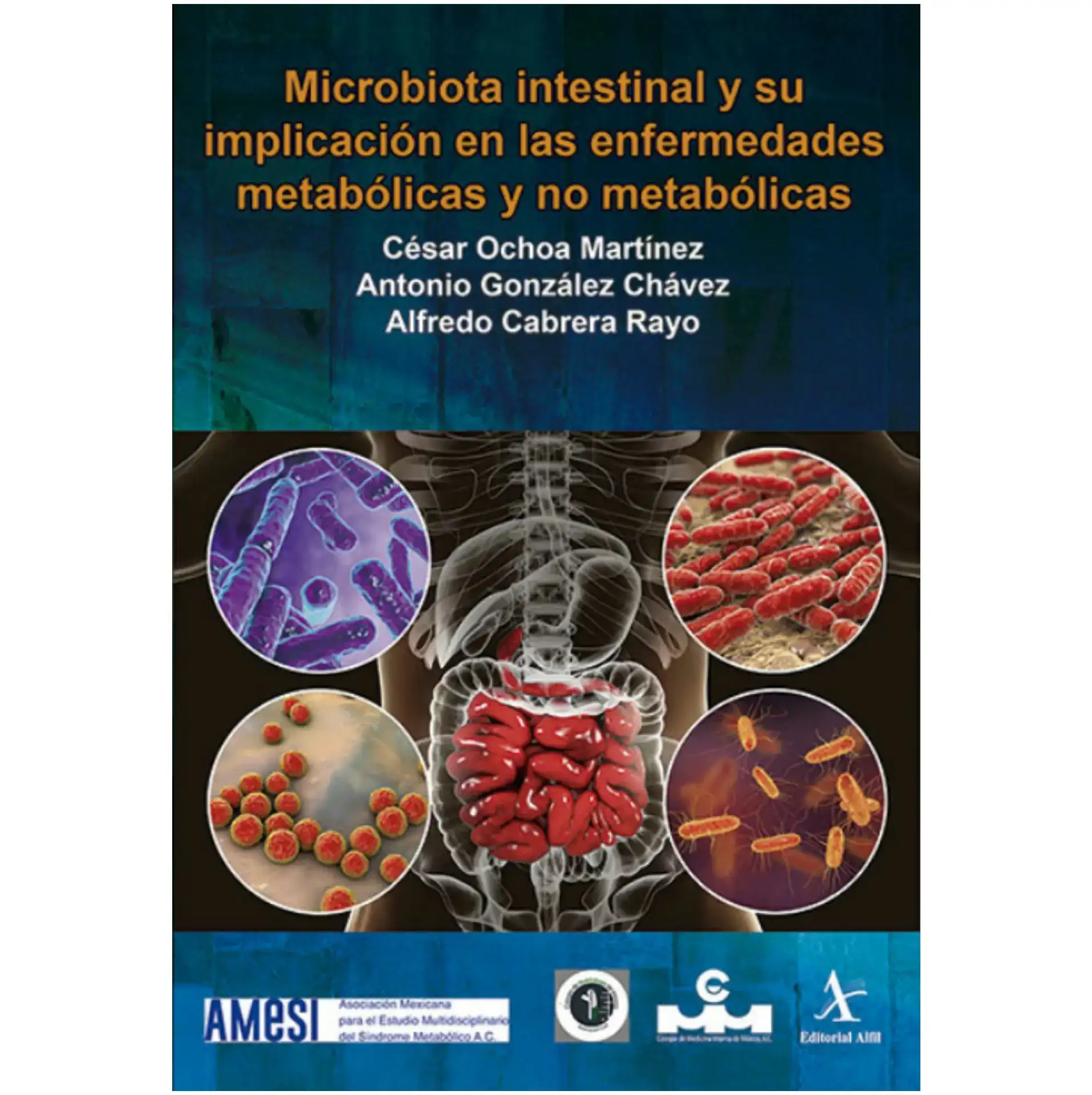 Microbiota intestinal y su implicación en las enfermedades metabólicas y no metabólicas 