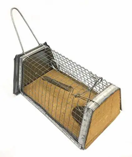 Jaula ratonera 