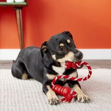 KONG Dental with Rope large 2