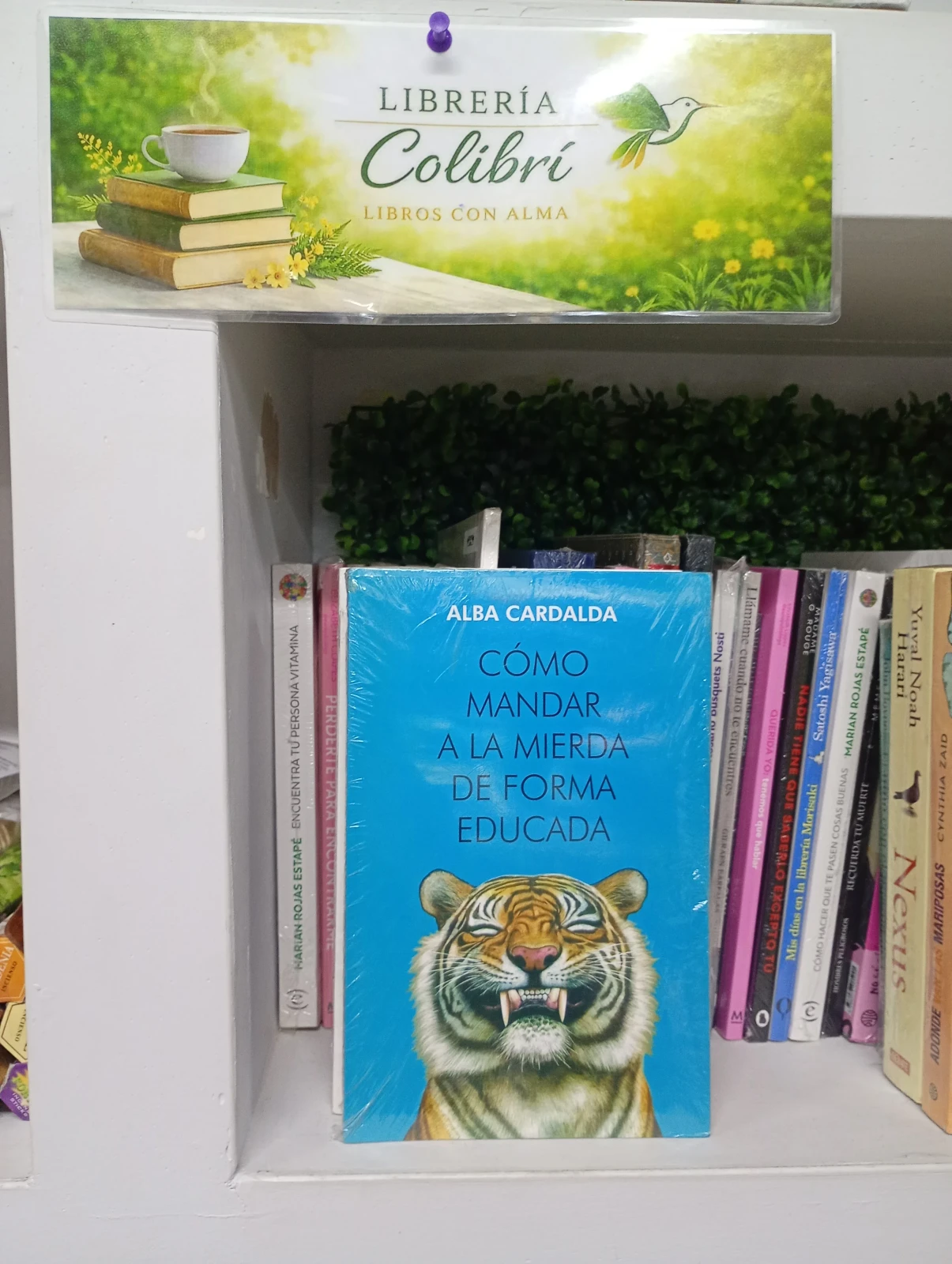 Como mandar a la mierda de forma educada