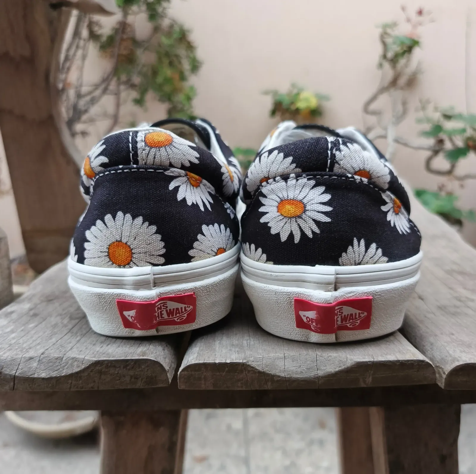 Vans 3