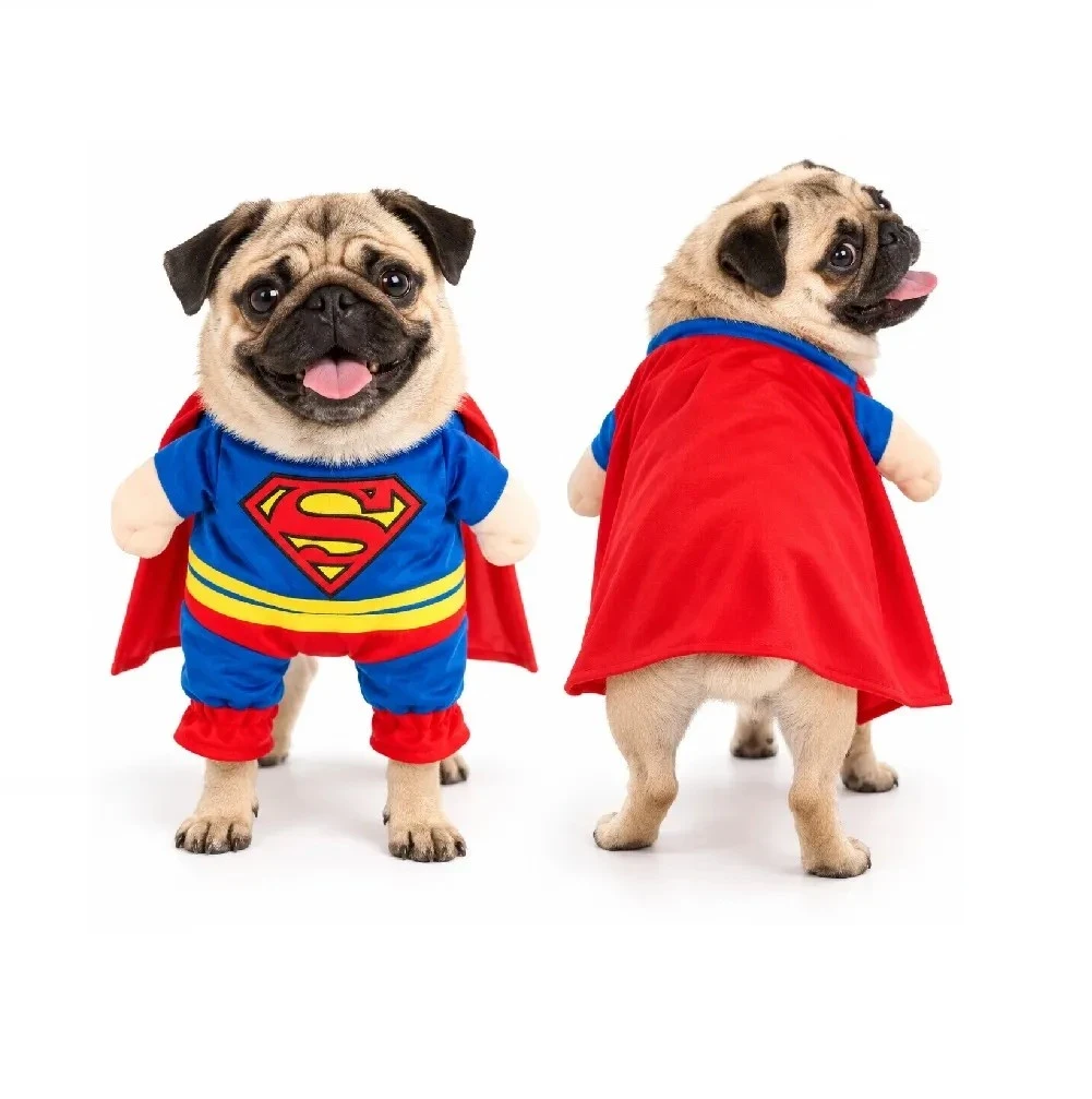 Disfraz Superman paradito 3D