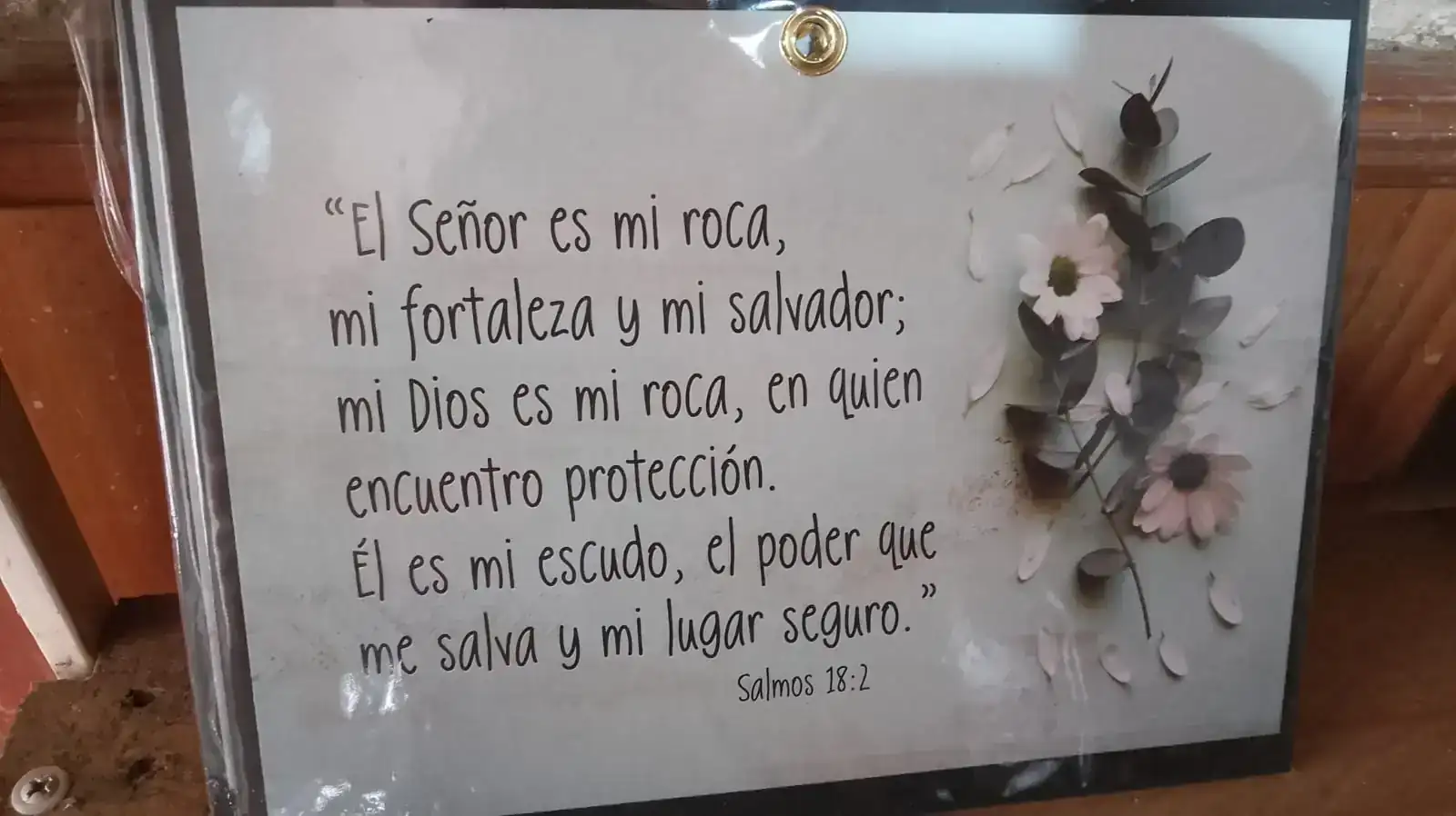 Cuadros chicos 4
