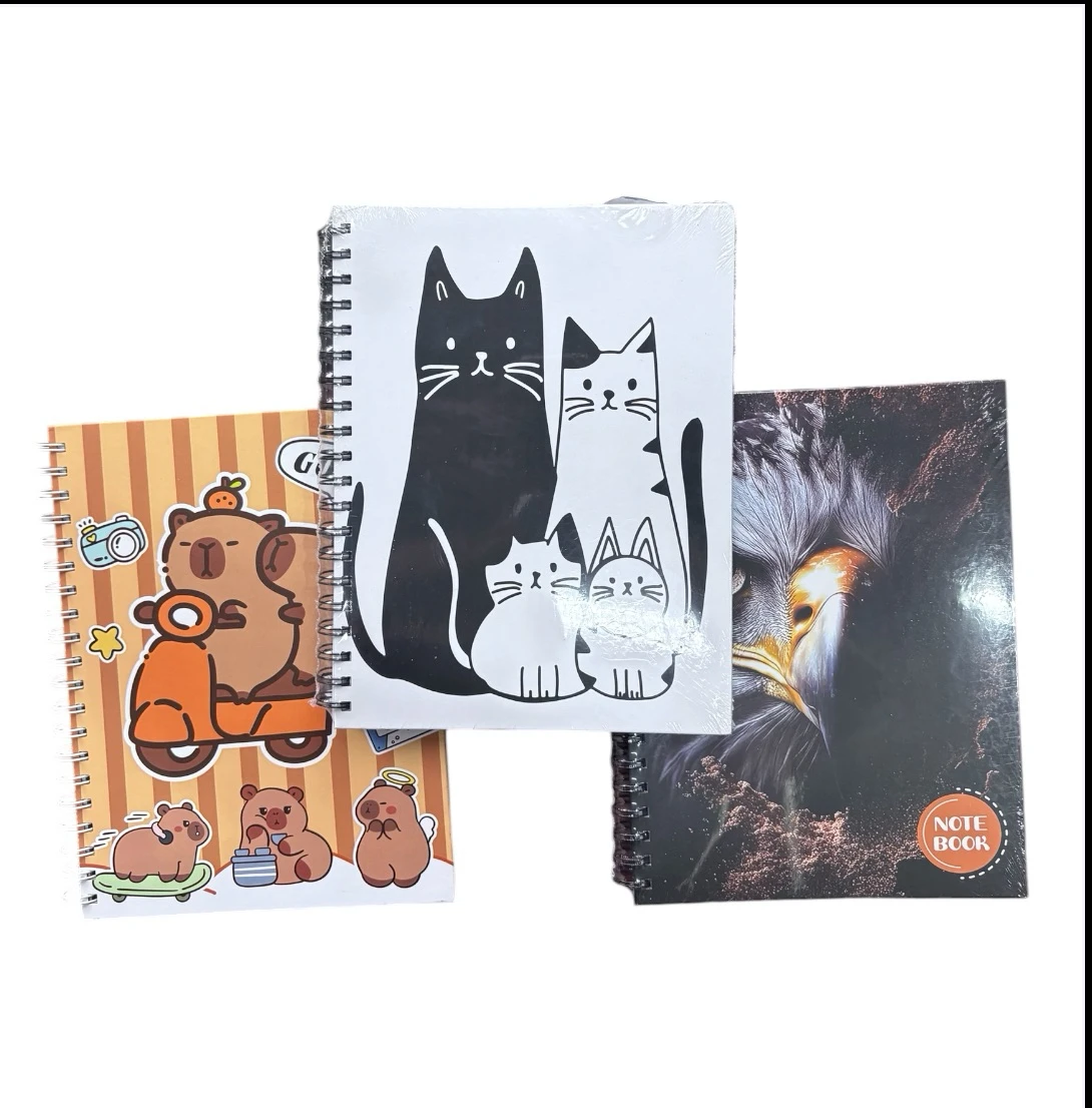 Libreta profesional de rayas 100 hojas  10