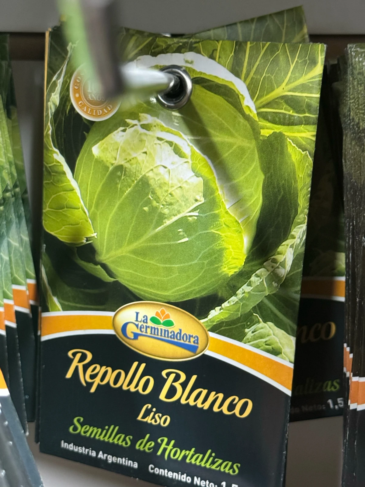 Repollo Blanco 