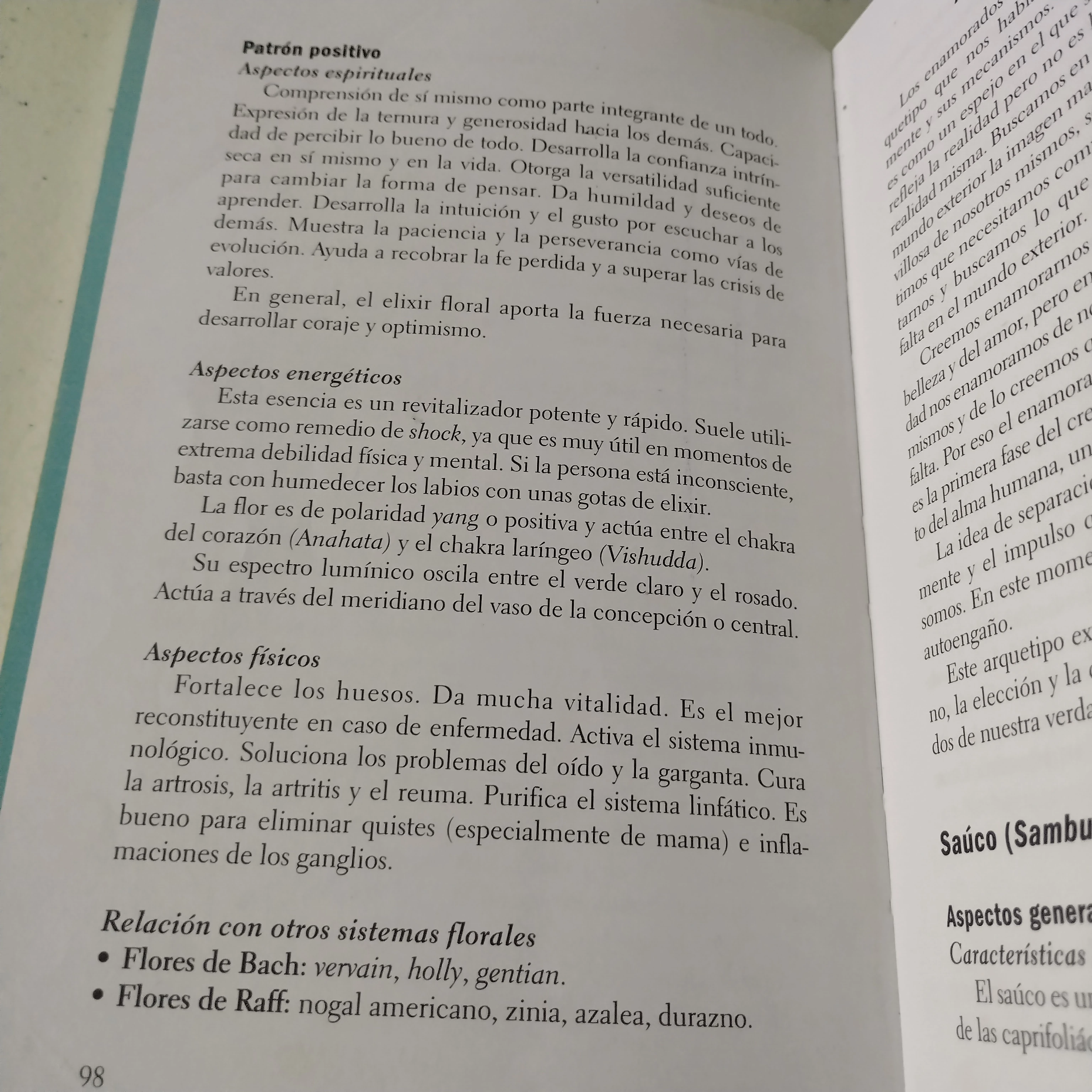 La sanación por los árboles, Antonio Iborra, usado 3