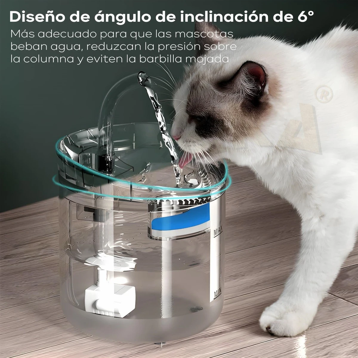 Bebedero para mascota  3