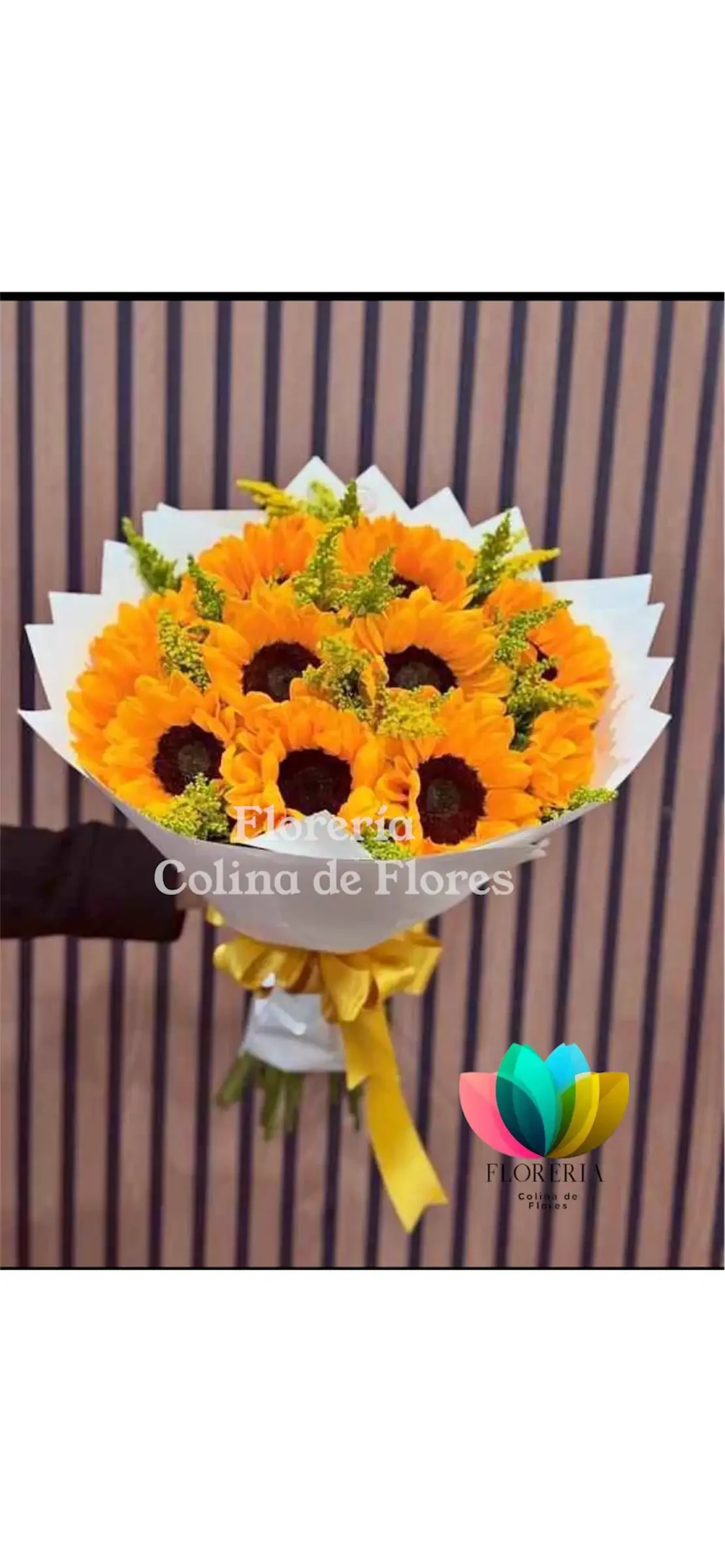 Buchon girasoles 