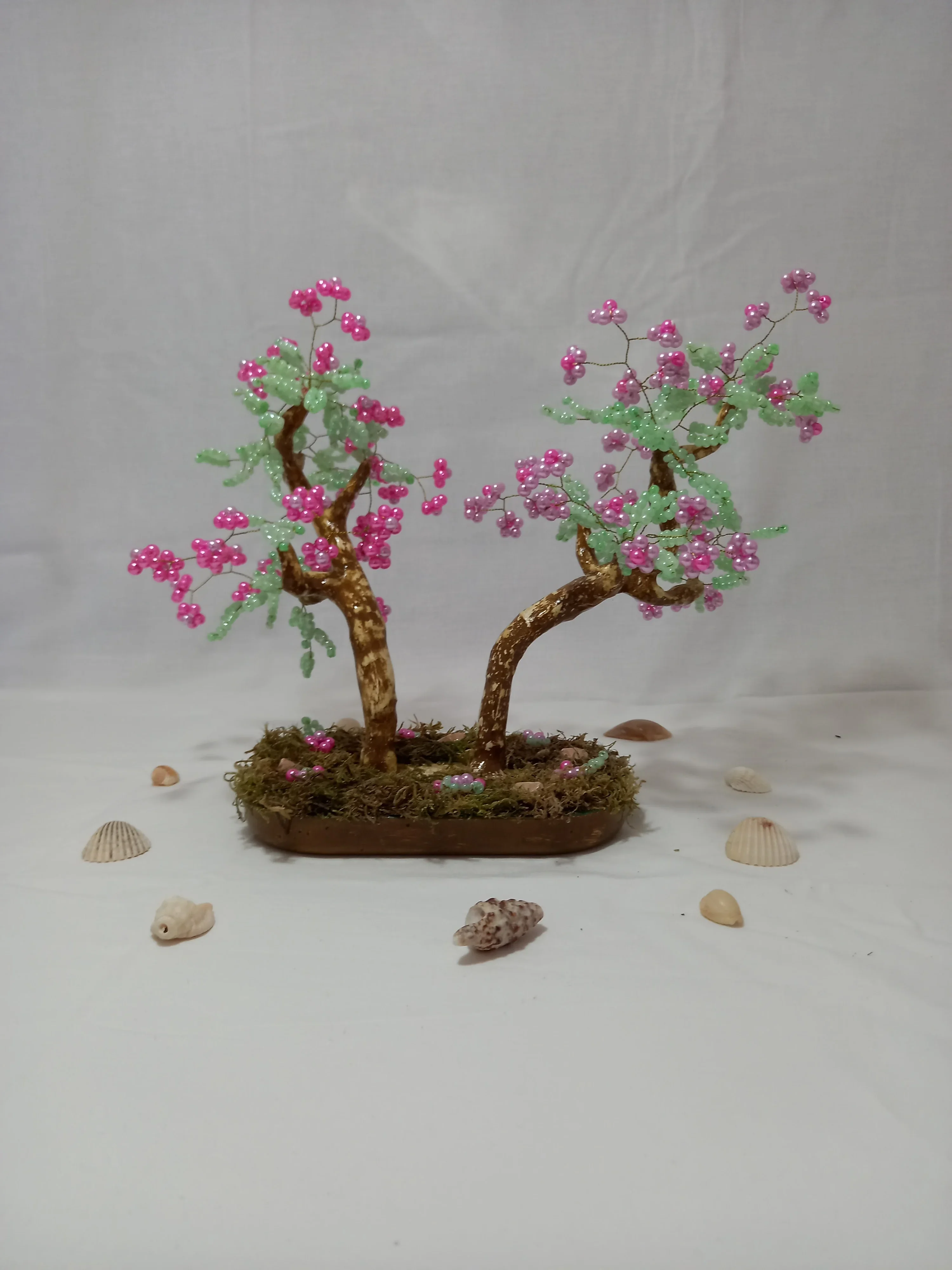 Bonsai Primavera Rosa Lila 3