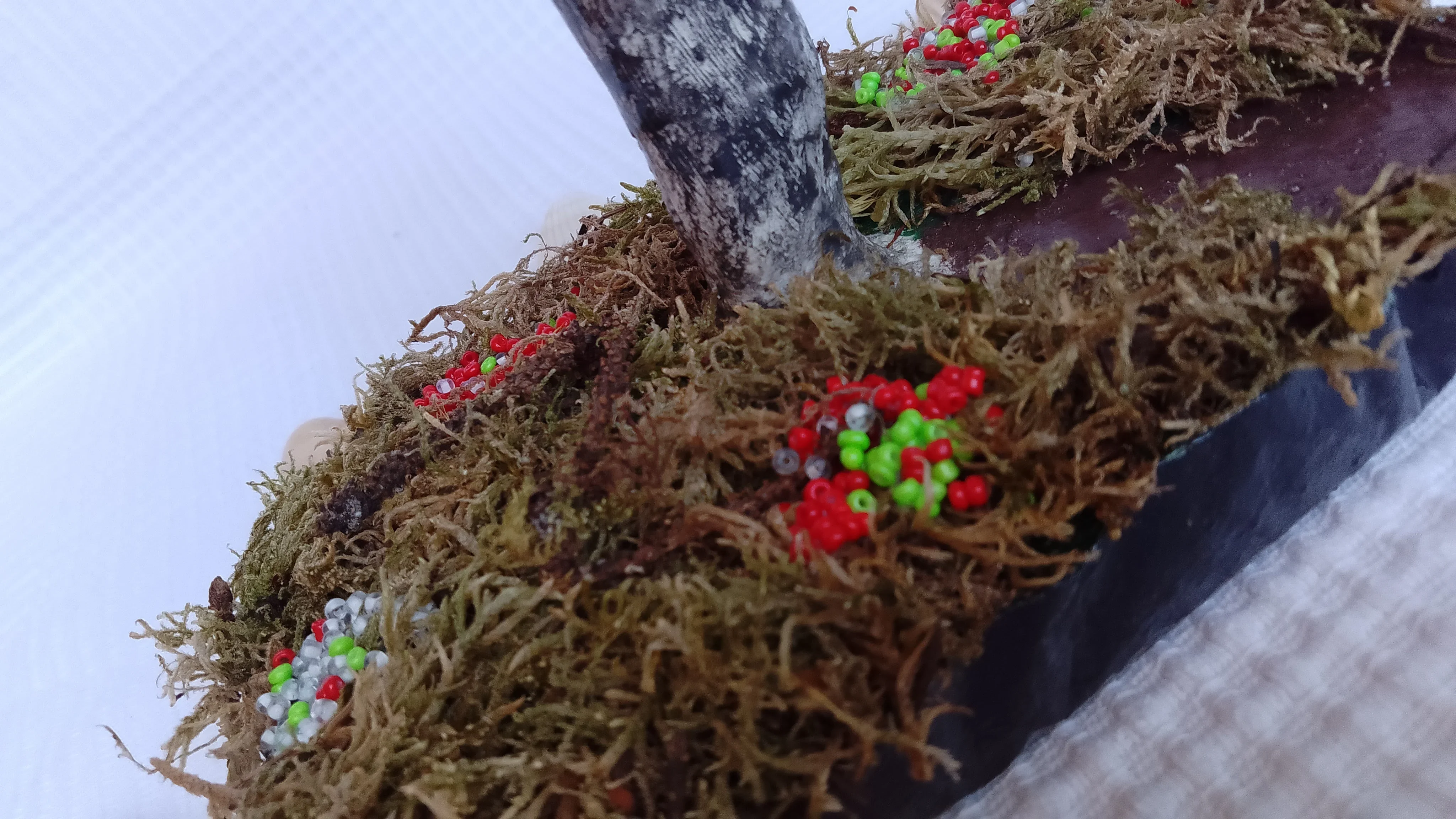 Bonsai Primavera roja 6