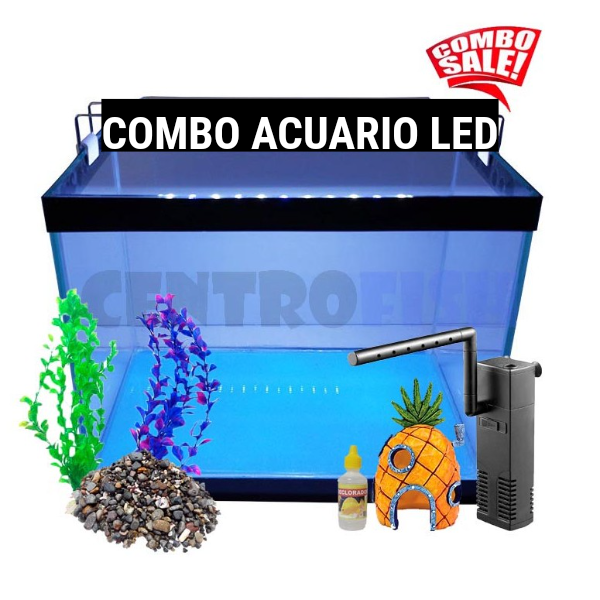 COMBO ACUARIO LED